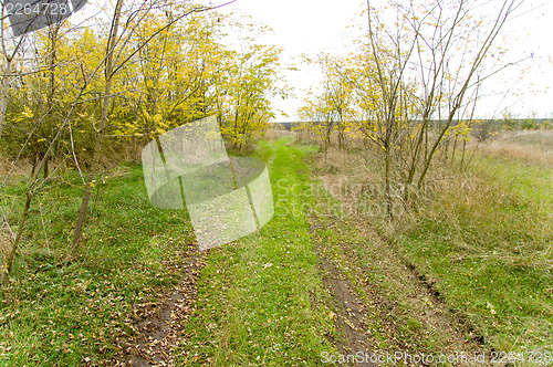 Image of way