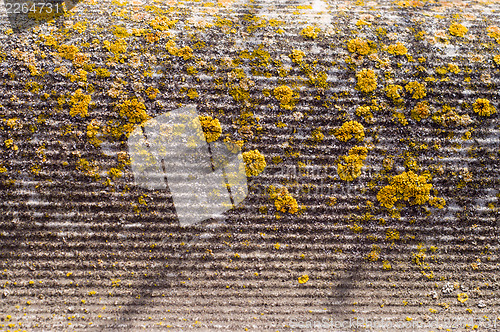 Image of asbestos sheeting