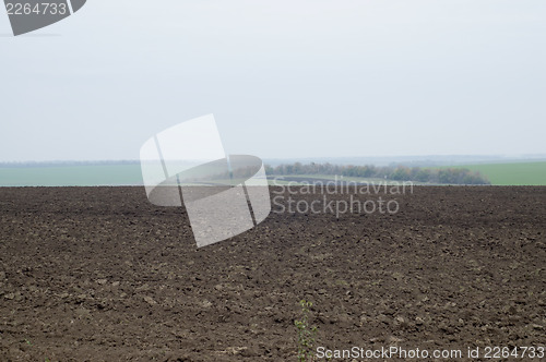 Image of black plough-land