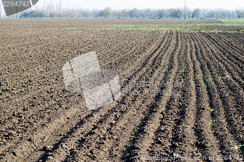 Image of tillage