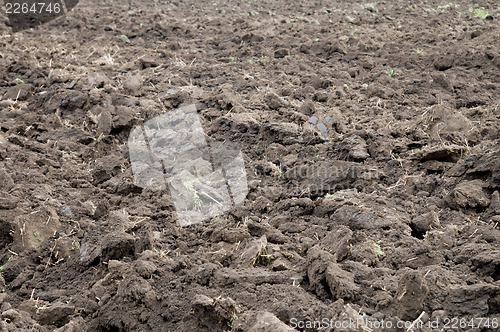 Image of arable soil