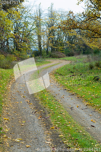 Image of autumnal road