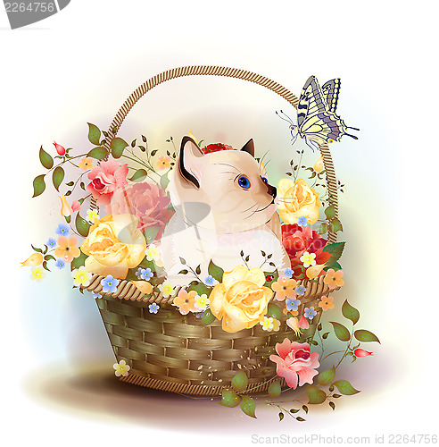 Image of Illustration of  the siamese kitten sitting in a basket with ros