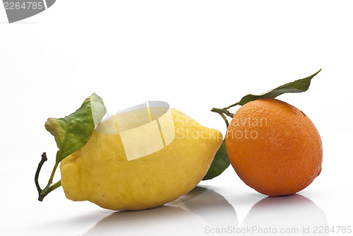 Image of Sicilian Orange and Lemon