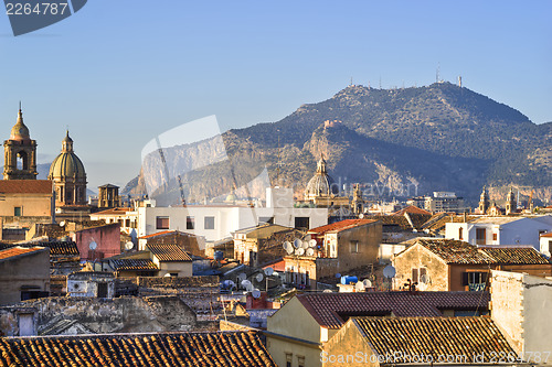 Image of View of Palermo with roofs