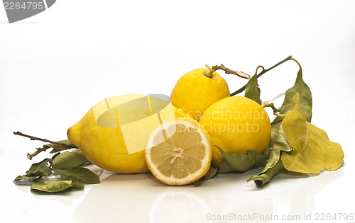 Image of yellow sicilian fresh lemons