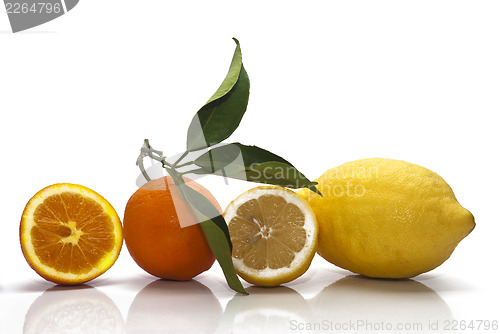 Image of Sicilian Oranges and Lemons on white background