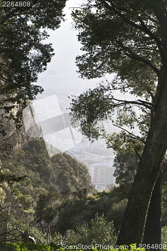 Image of protected reserve of Mount Pilgrim