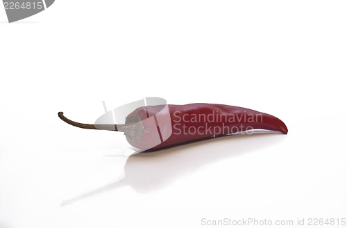 Image of Red hot chili pepper