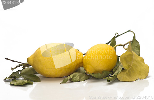 Image of yellow sicilian fresh lemons