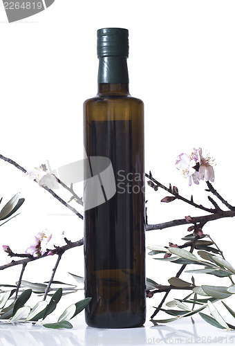 Image of olive branch and a bottle of olive oil