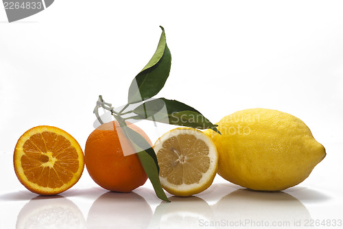 Image of Sicilian Oranges and Lemons on white background