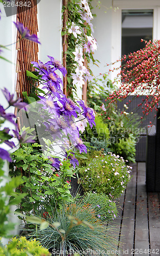 Image of Modern terrace with a lot of flowers