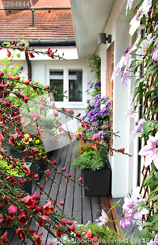 Image of Modern terrace with a lot of flowers