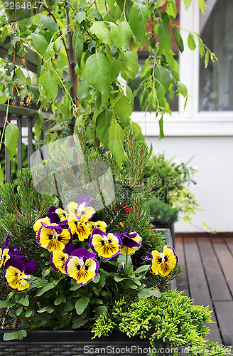 Image of Modern terrace with a lot of flowers