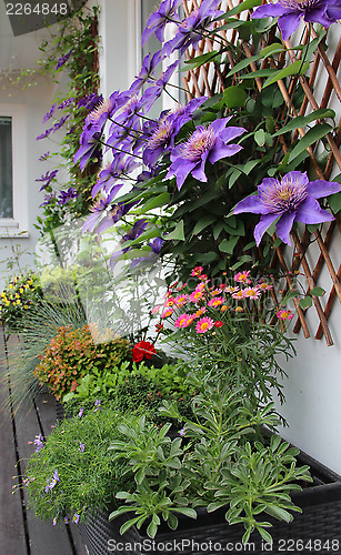 Image of Modern terrace with a lot of flowers