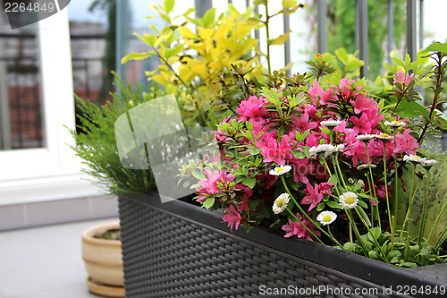 Image of Modern terrace with a lot of flowers