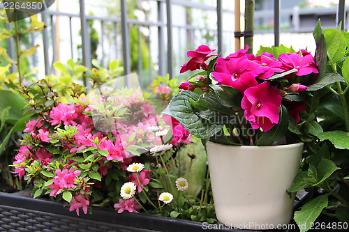 Image of Modern terrace with a lot of flowers