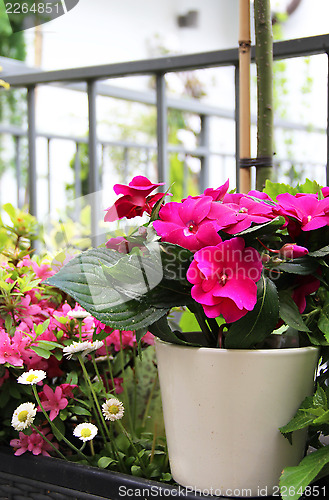 Image of Modern terrace with a lot of flowers