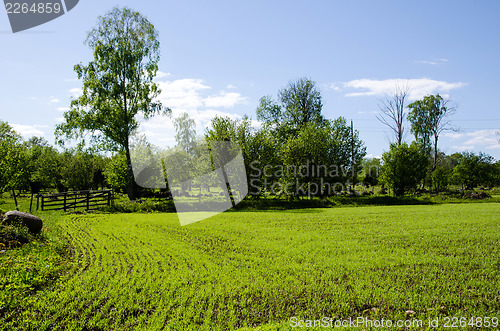 Image of Green field 