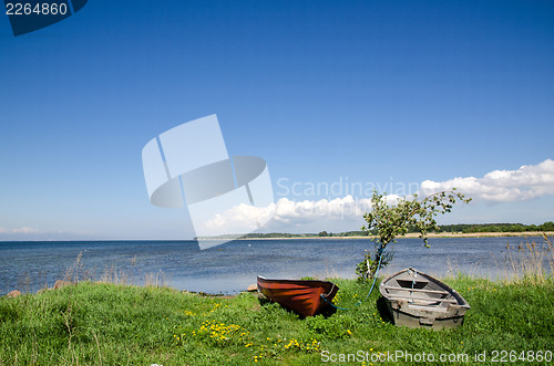 Image of Rowing boats