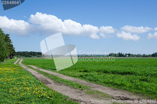 Image of Farmers road at field