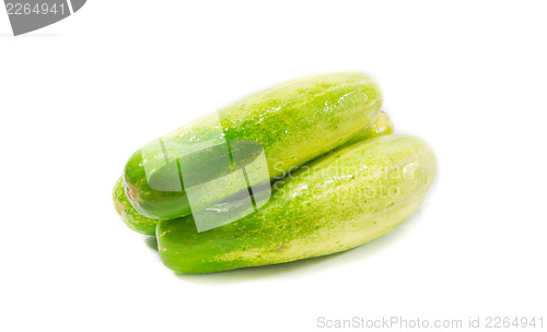 Image of Cucumber