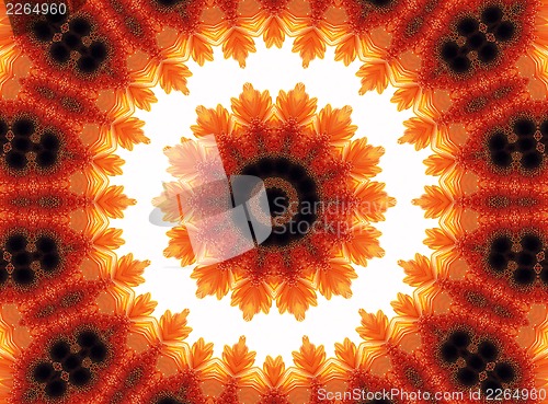 Image of Gerber flower abstract pattern