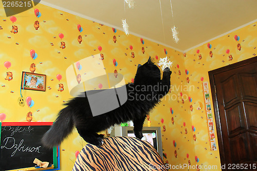 Image of Black cat on a chair in children's room