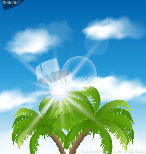 Image of Summer holiday background with sunlight and palmtree