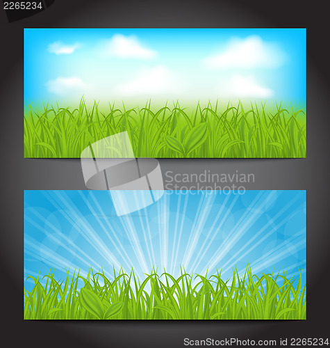 Image of Set summer cards with grass, natural backgrounds