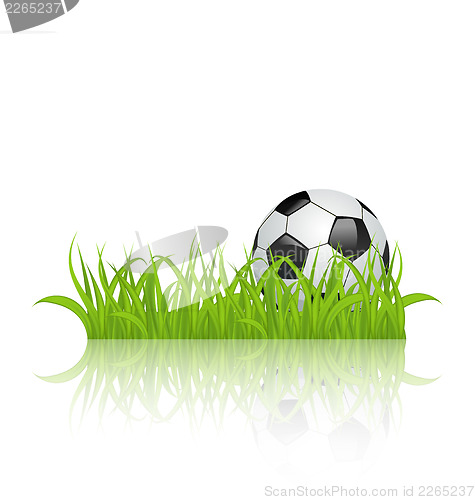 Image of Soccer ball on grass isolated on white background