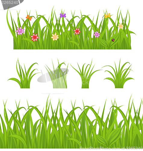 Image of Set green grass isolated on white background