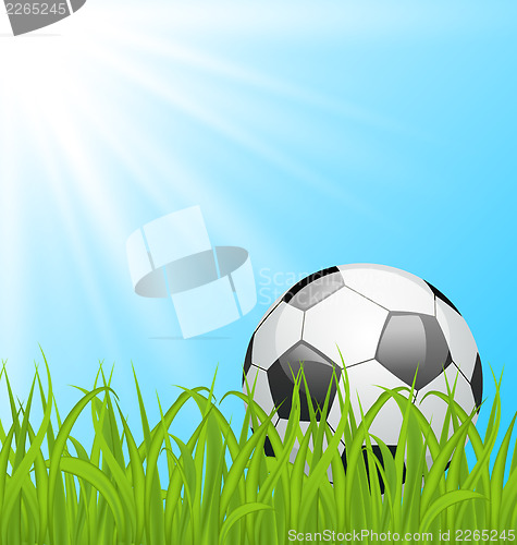 Image of Soccer ball on green grass 
