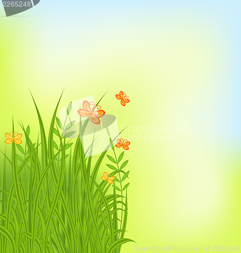 Image of Summer background with grass and butterfly