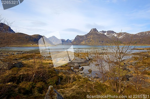 Image of Norwegian fjord