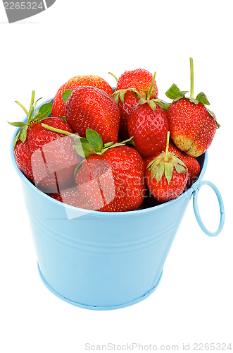 Image of Strawberries in Blue Bucket