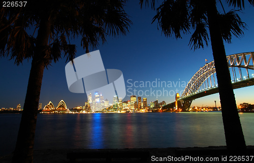 Image of Sydney tropics panorama
