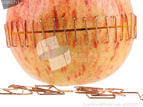 Image of Sliced apple halves