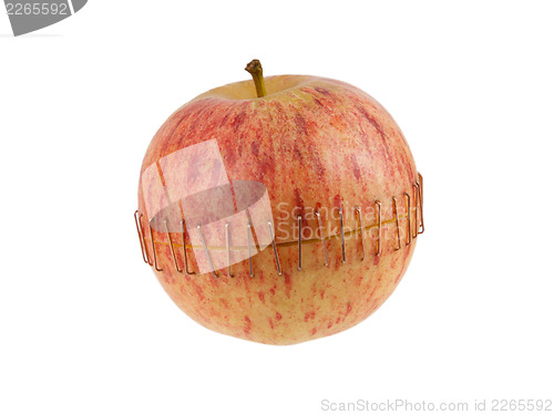 Image of Sliced apple halves