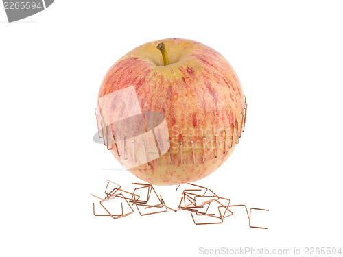 Image of Sliced apple halves