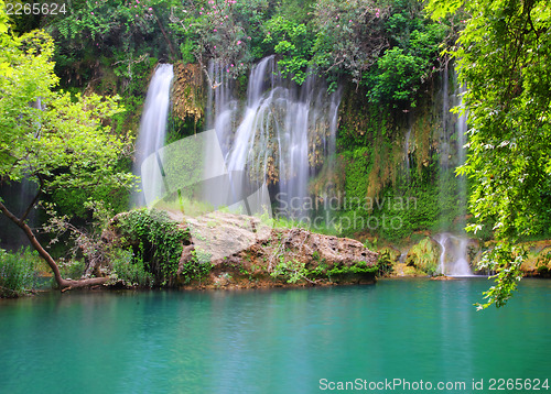 Image of waterfall in forest