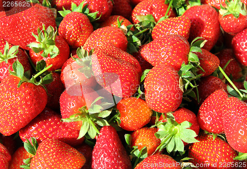 Image of strawberry background