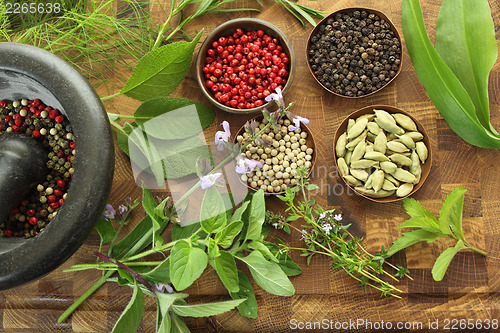 Image of Herbs and spices