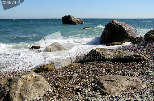Image of Marine rocky shore