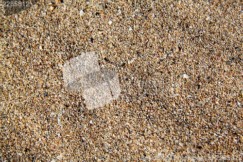 Image of The texture of the yellow sea sand