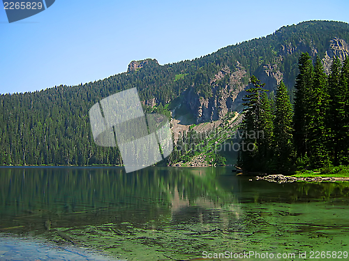 Image of Mountain Landscape