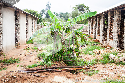 Image of Building house in Africa