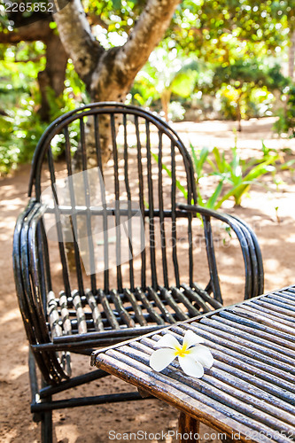 Image of Garden Furniture