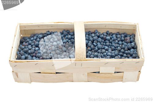 Image of Blueberry